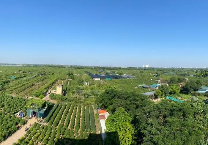 26442 Panorama Green View Studio